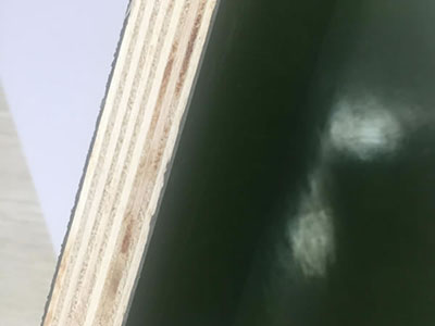 PP Plastic Film Faced Plywood