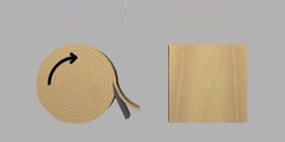 Rotary Veneer