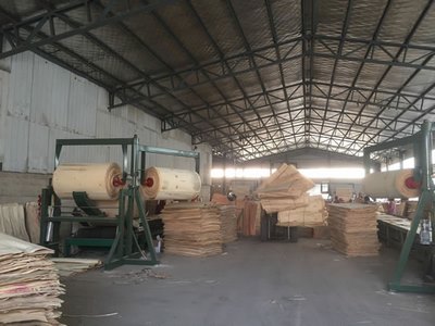 Veneer Cleaning