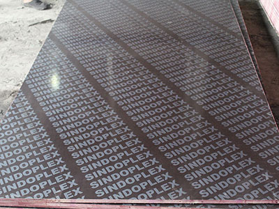 Finger Joint Core Film Faced Plywood
