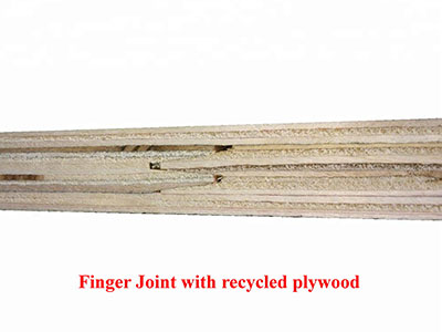 Finger Joint Core Film Faced Plywood