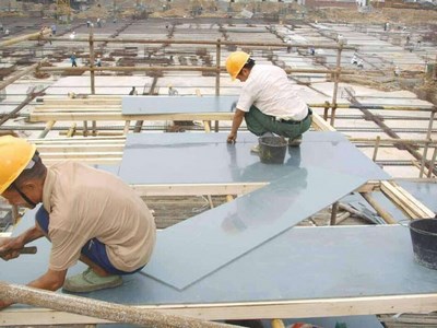 Finger Joint Core Film Faced Plywood