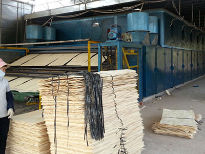 Veneer Drying
