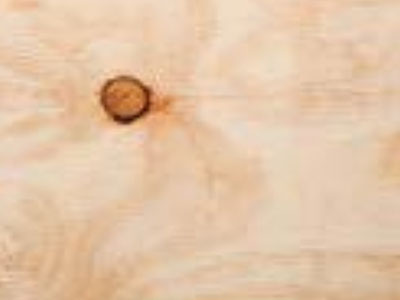 Radiata Pine Faced Plywood